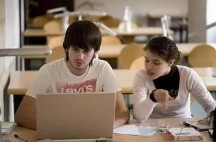 IACO国际组织实习岗位招募，因私出入境中介服务助你启航